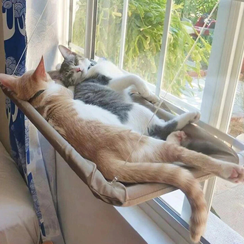 Window Cat Hammock | Purr & Paw Living  