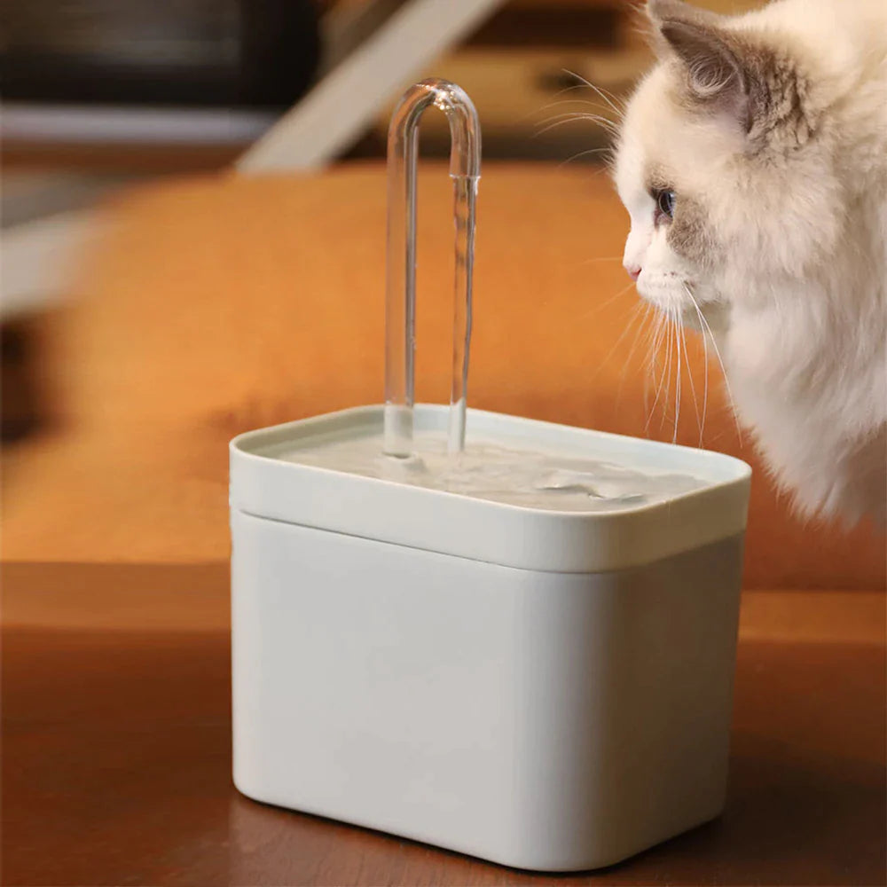 FreshFlow™ Smart Pet Water Fountain | Purr & Paw Living